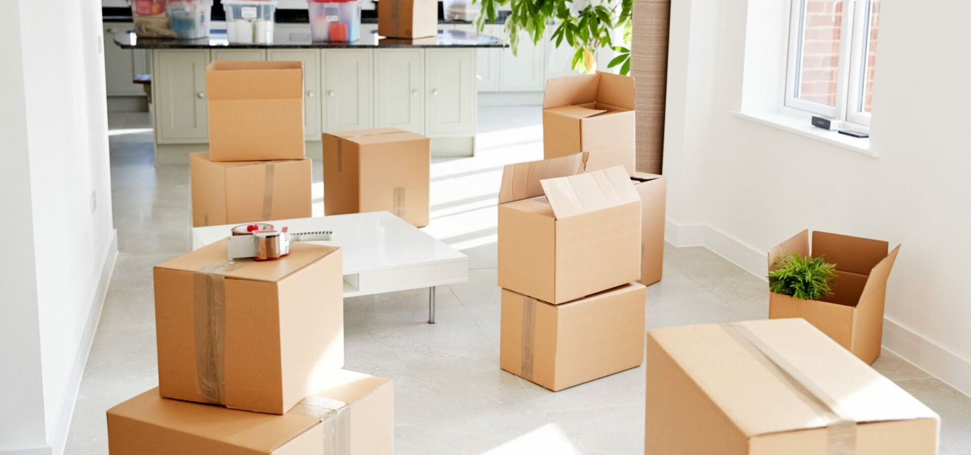 SELIDBE PODGORICA - TRANSPORT PREVOZ CRNA GORA